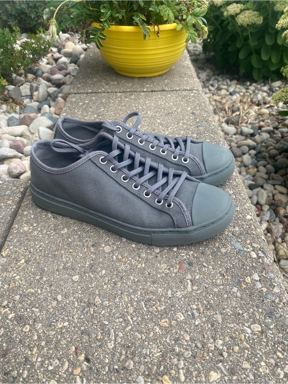 🌈 Women’s Classic Low-Top Canvas Sneakers in Gray
